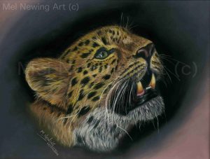 Amur Leopard pastel pencil art