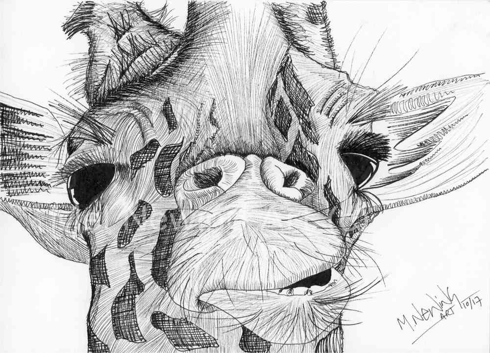 Giraffe Ink Pen Art Pet Portraits